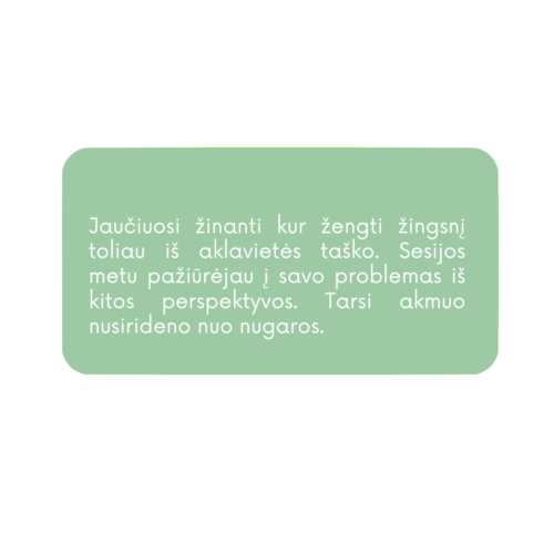 koucingo sesija-gintarepetrauskaite