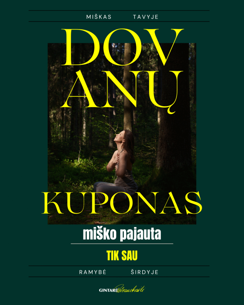 Miško pajauta - tik SAU - Image 3