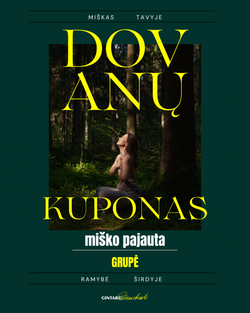 Miško pajauta - Grupė (3-12 žmonių) - Image 2