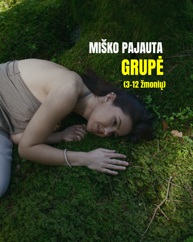 Miško pajauta - Grupė (3-12 žmonių)