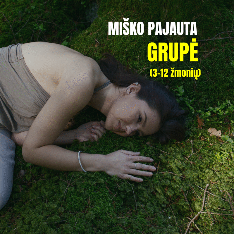 Miško pajauta - Grupė (3-12 žmonių)